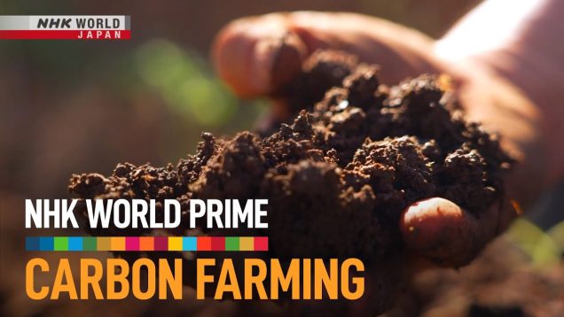 Carbon Farming: A Climate Solution Under Our Feet