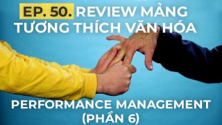 Review mảng tương thích văn hóa