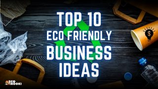 TOP 10 Eco Friendly BUSINESS ideas with guaranteed PROFIT